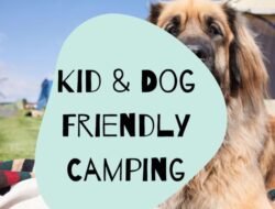 Dog Friendly Camping Sites in Pennsylvania: A Guide for Pet Owners