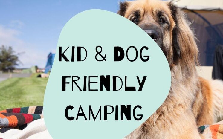 Dog Friendly Camping