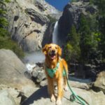 Dog friendly National Parks