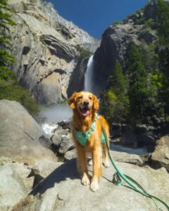 Dog friendly National Parks