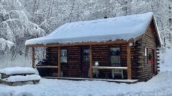 Dog Friendly Winter Retreats