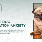 Dog Mental Health Tips: Improving Well-Being for Both You and Your Pet