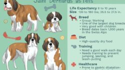 Dog Family Health