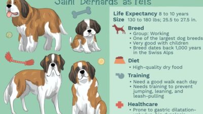 Dog Family Health