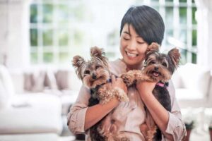 Small Dog Breeds Guide