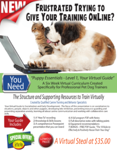 Dog Socialization Care Guide