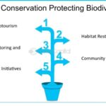 Wildlife Conservation Initiatives: A Critical Overview