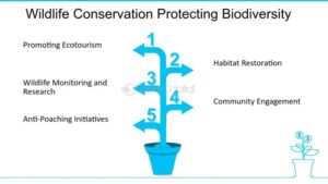 Wildlife Conservation Initiatives: A Critical Overview